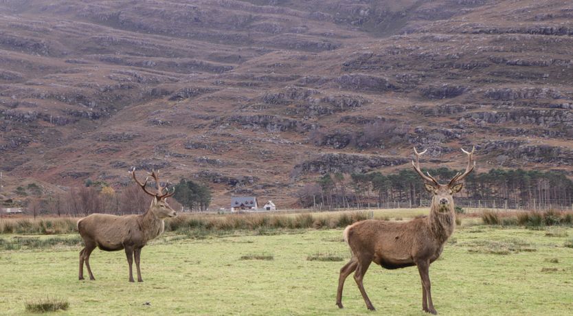 Photo of Stalker's Cottage - Torridon