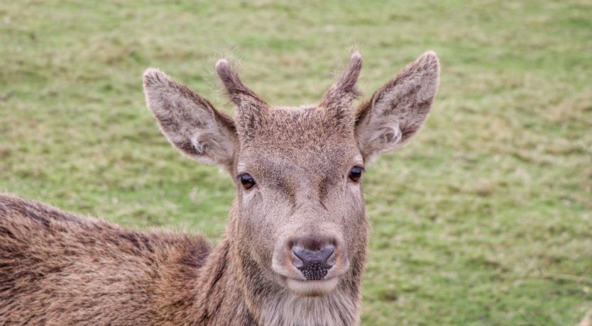 Photo of Stalker's Cottage - Torridon