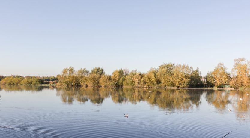 Photo of Ivy Cottage