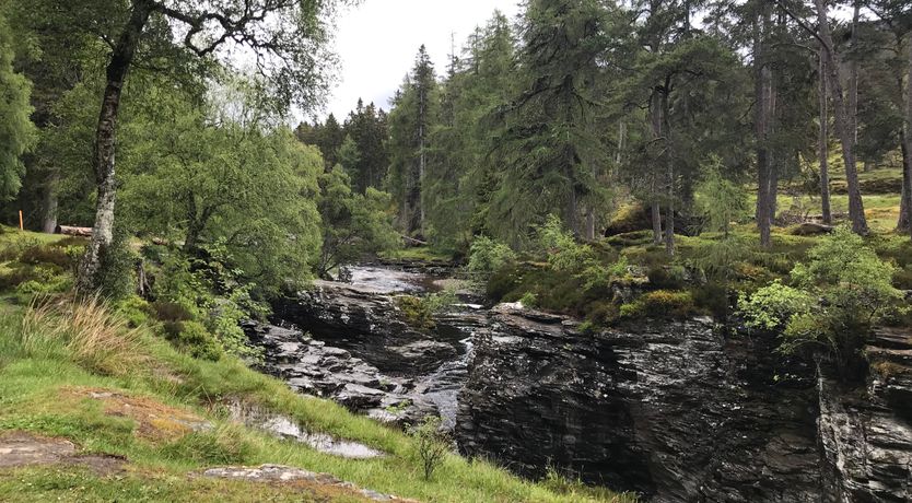 Photo of Derry - Mar Lodge Estate