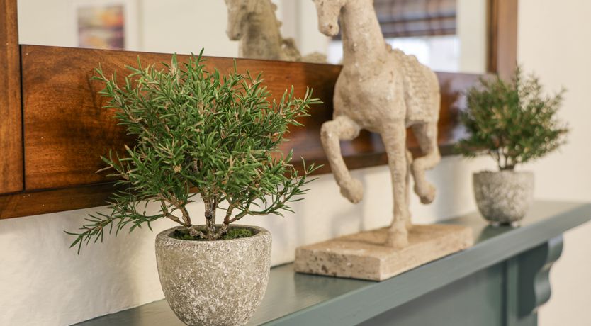 Photo of Beechgrove Cottage - Pitmedden Gardens