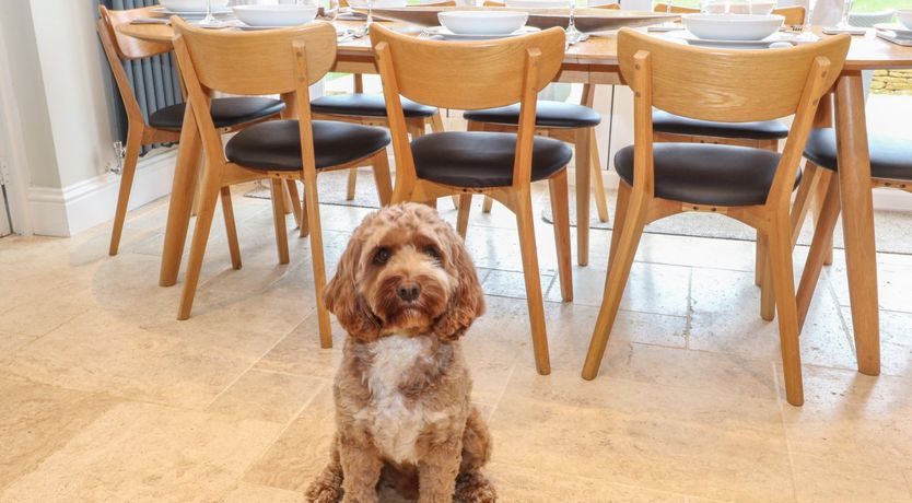 Photo of The Little Paddock