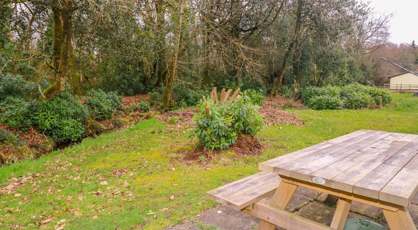 Photo of Blue Sky Cottage