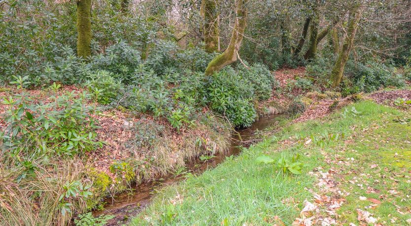 Photo of Blue Sky Cottage