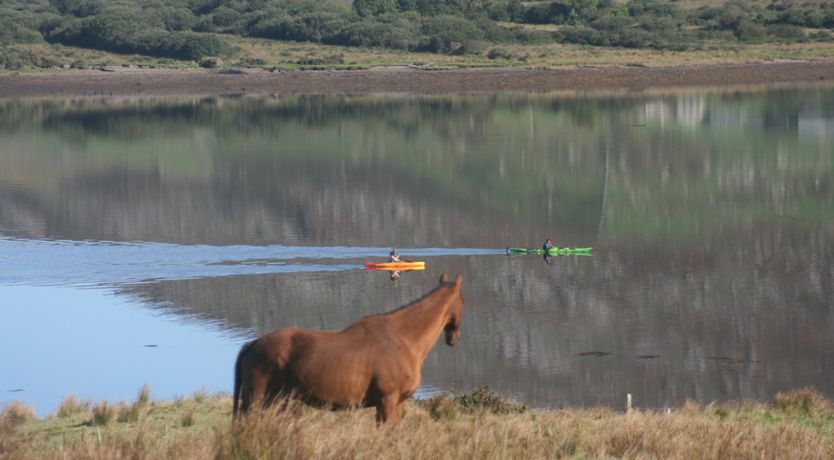 Photo of The Final Furlong Waterfront Self-Catering 