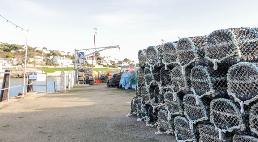 Photo of Puffin Cottage