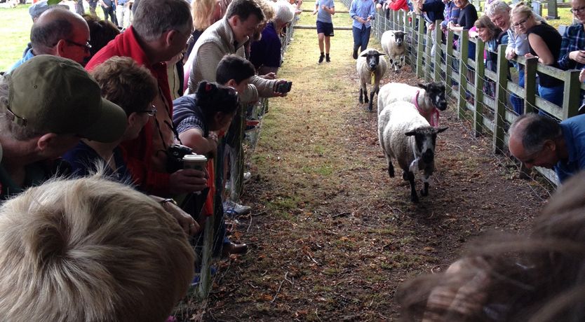 Photo of Morton House and The Stable Block