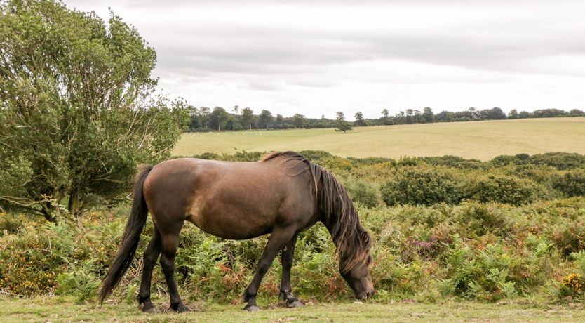 Photo of The Stables