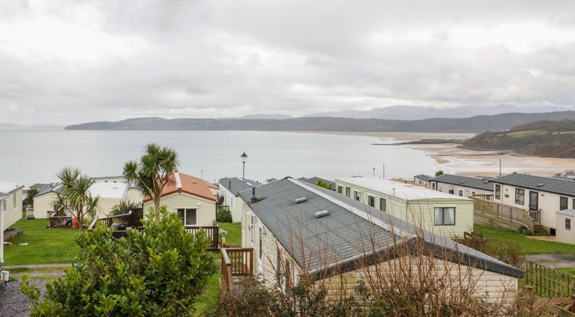 Photo of The Sandy Bee