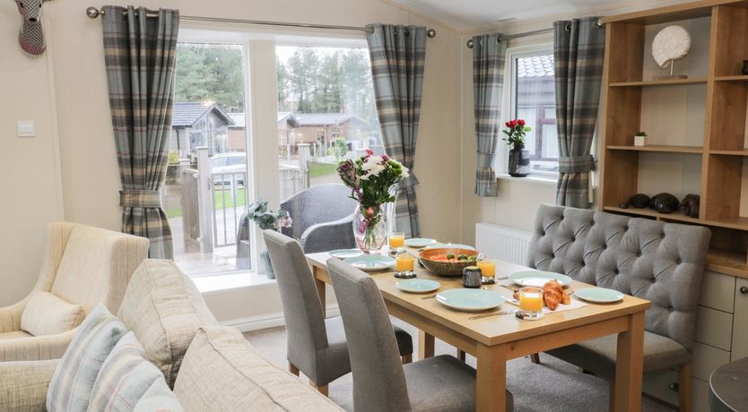 Photo of Huckleberry