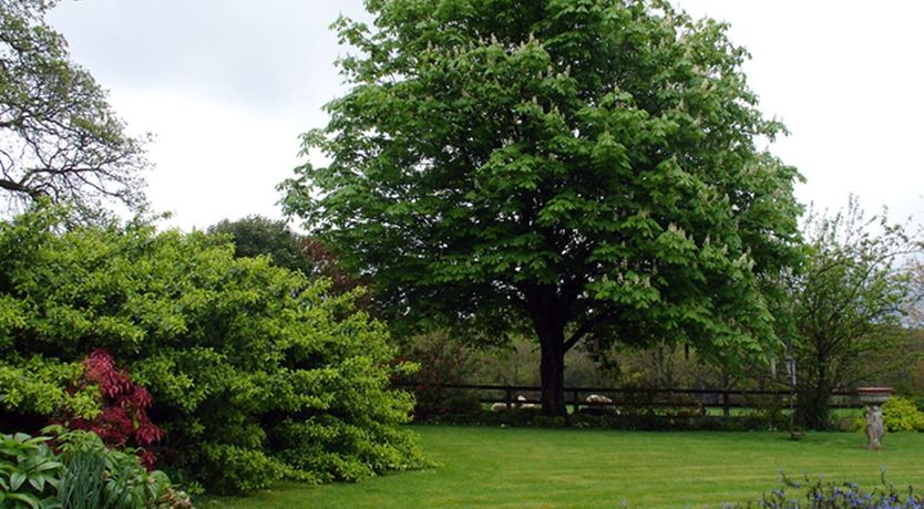 Photo of Burham Barn