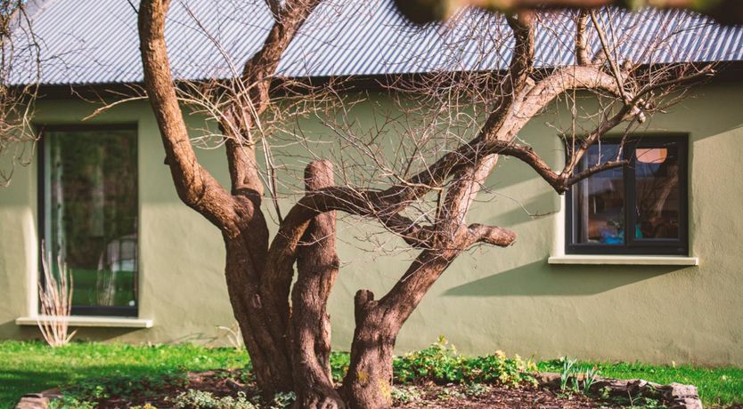 Photo of The Garden Shed at The Roost Westport Town
