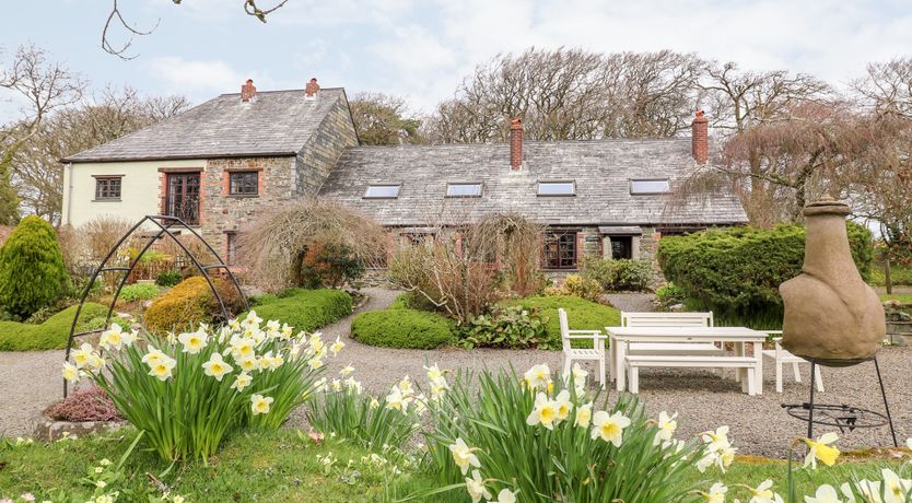 Photo of Pond Meadow