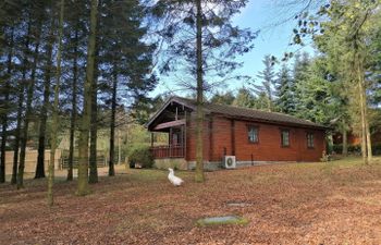 Chloe's Lodge Holiday Cottage