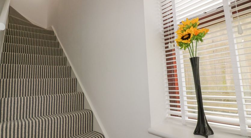 Photo of Elin Howlyek