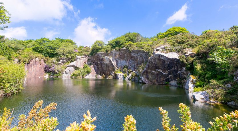 Photo of Mellydonen Beder Del (Melly), Tor Down Quarry