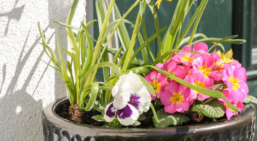 Photo of 3 Parc Delfryn