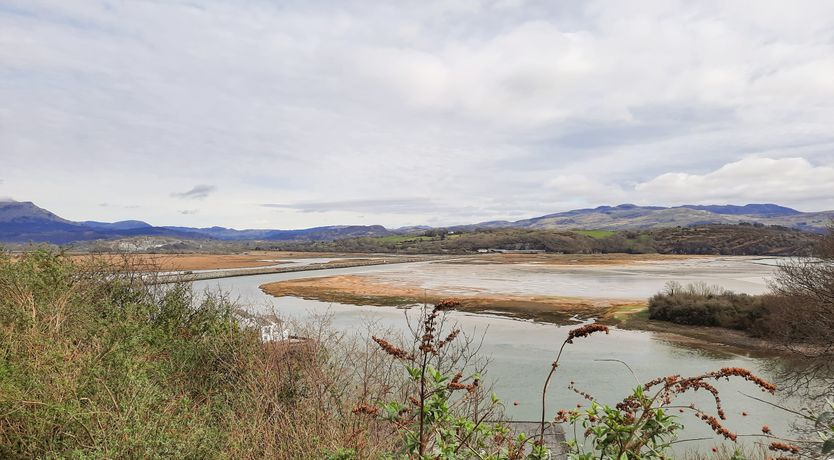 Photo of Emerald Suite