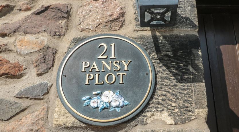 Photo of Pansy Plot