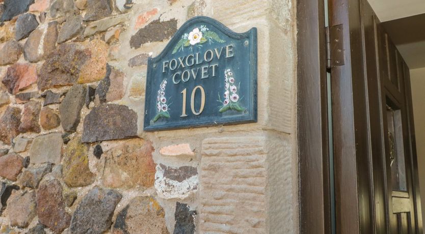 Photo of Foxglove Covet