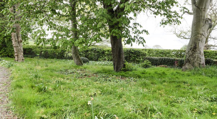 Photo of Chestnut Cottage