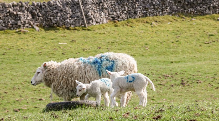 Photo of The Haybarn