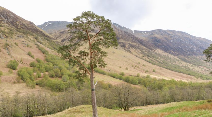 Photo of Glen Nevis Cottage
