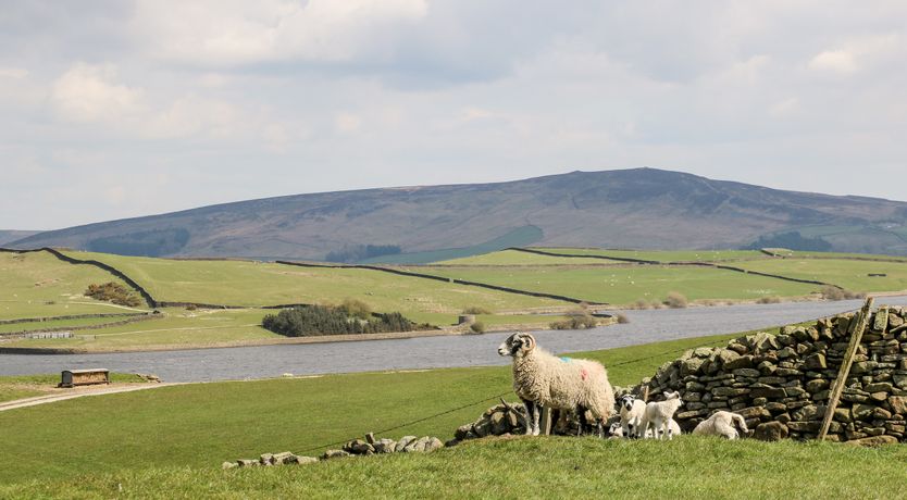 Photo of Herriots House