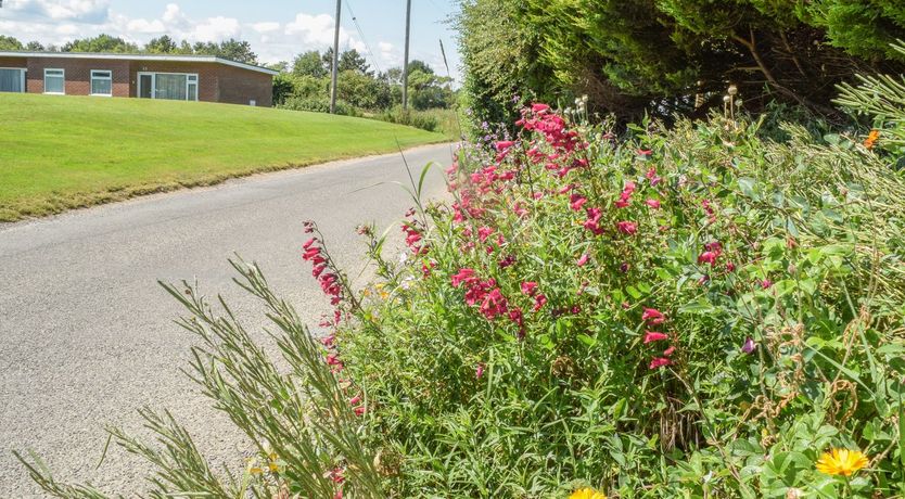 Photo of 20 Siesta Mar