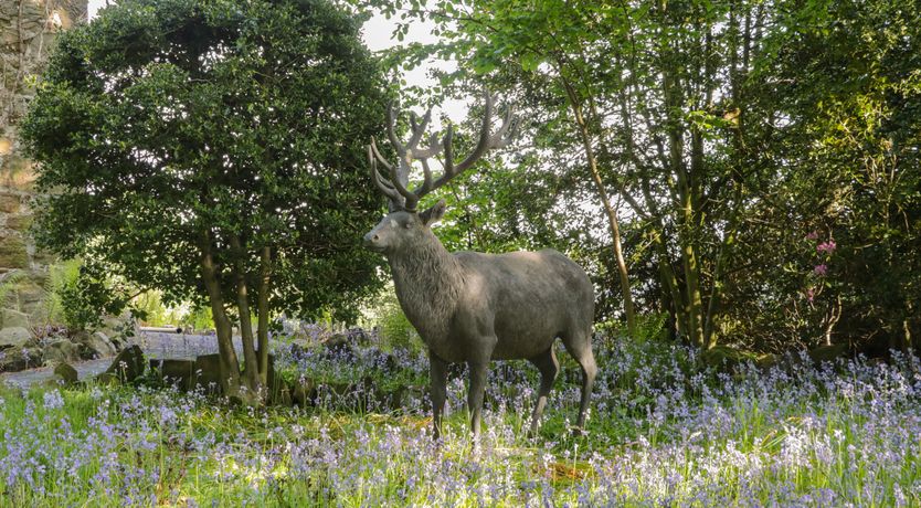 Photo of Fernhill Castle
