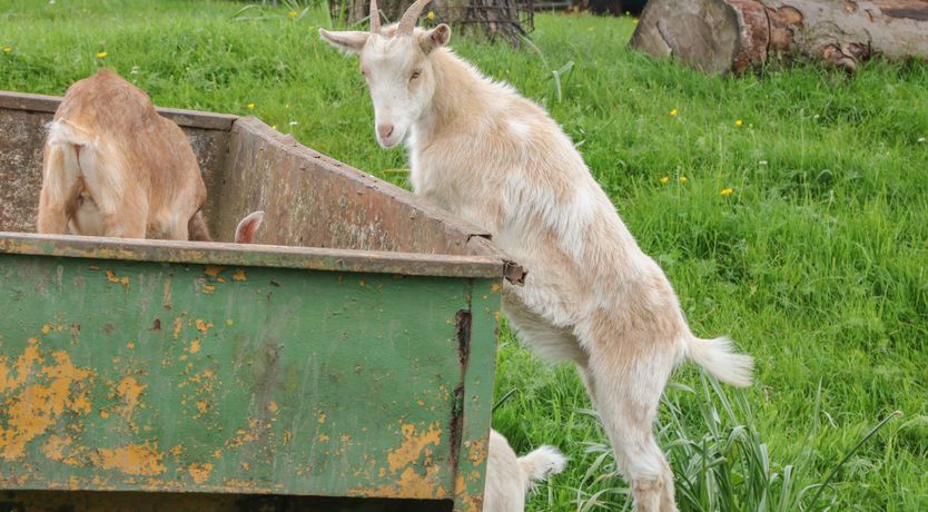 Photo of Packhorse Shepherd’s Hut