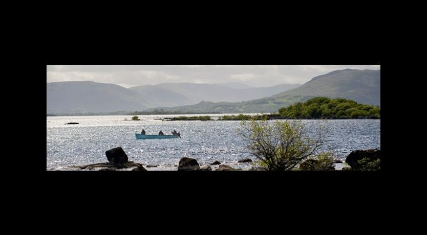 Photo of Lakeshore Holidays