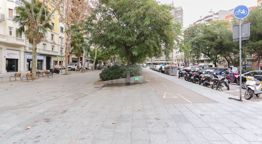 Photo of Pulpo Gallego