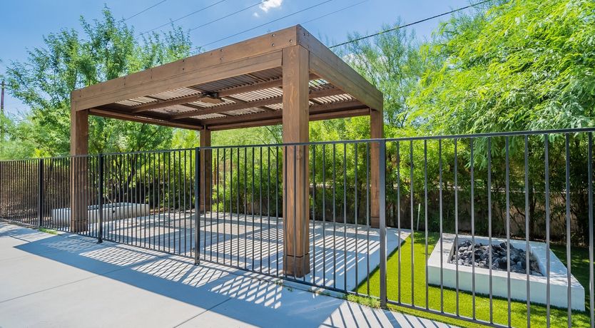 Photo of Desert Diver