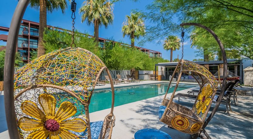 Photo of Desert Diver