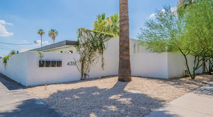 Photo of Desert Diver