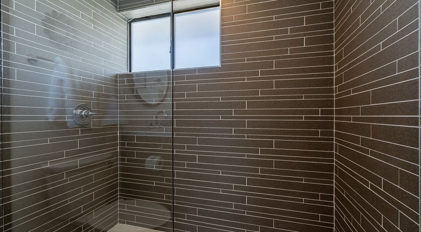 Photo of Desert Diver