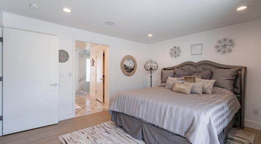 Photo of Desert Diver