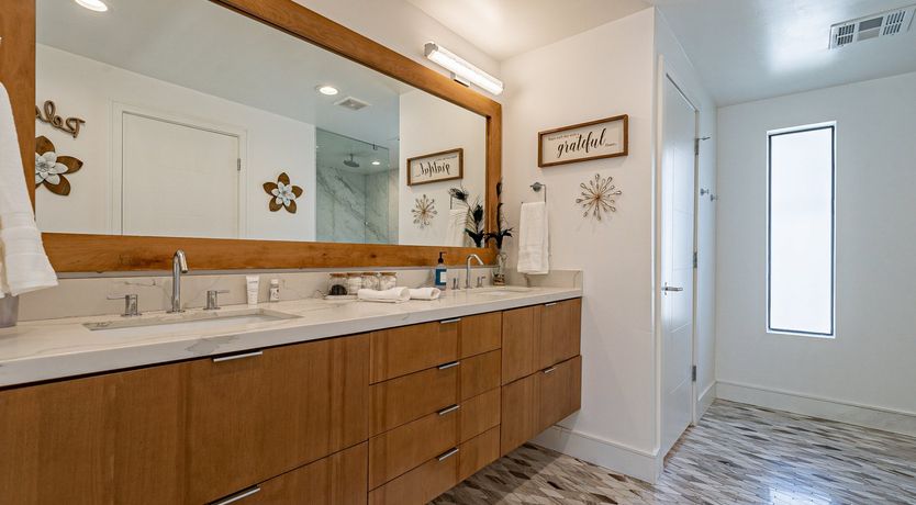 Photo of Desert Diver