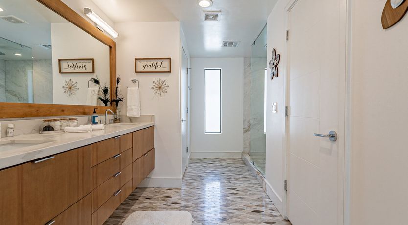 Photo of Desert Diver