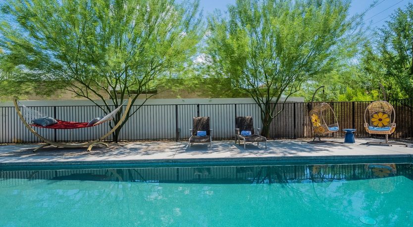 Photo of Desert Diver