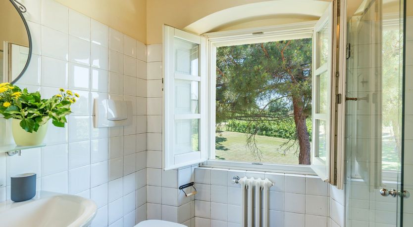 Photo of Lavender Lawns