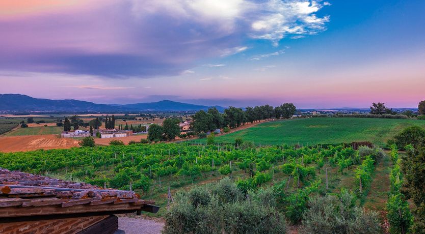 Photo of Lavender Lawns