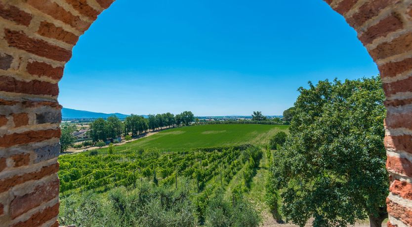 Photo of Lavender Lawns