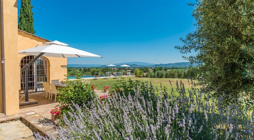 Photo of Lavender Lawns