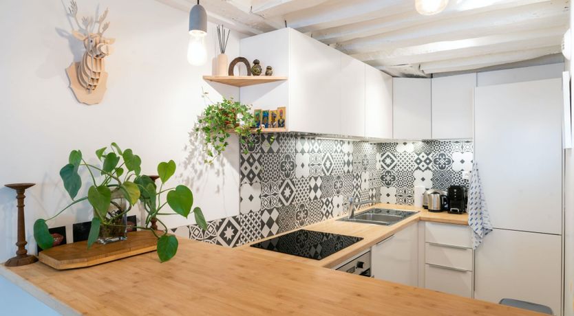 Photo of Camel Explorer