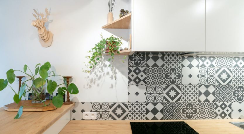 Photo of Camel Explorer