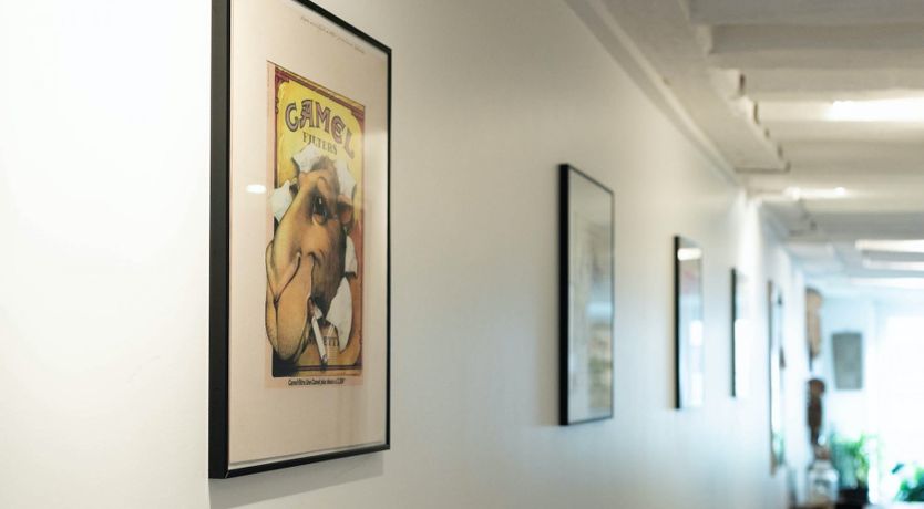 Photo of Camel Explorer