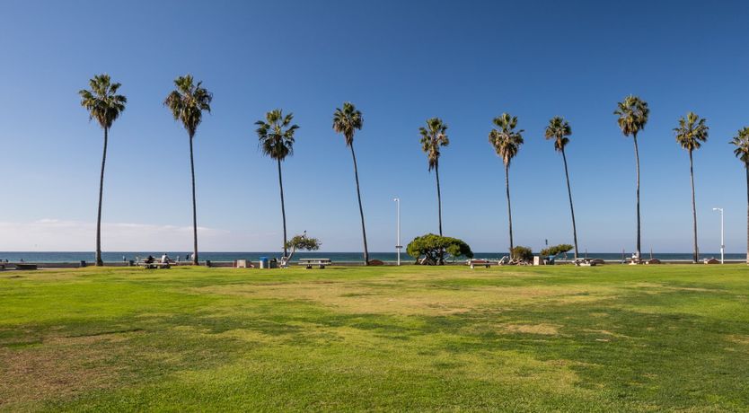 Photo of Dolphin Bay