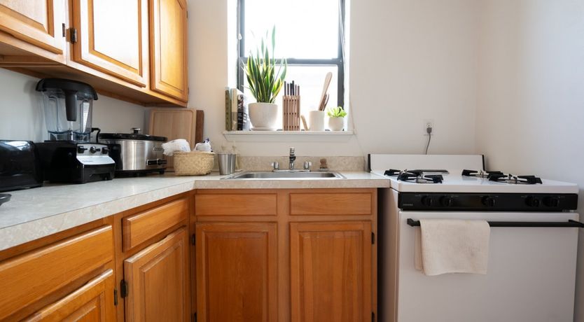 Photo of The Williamsburg Wave